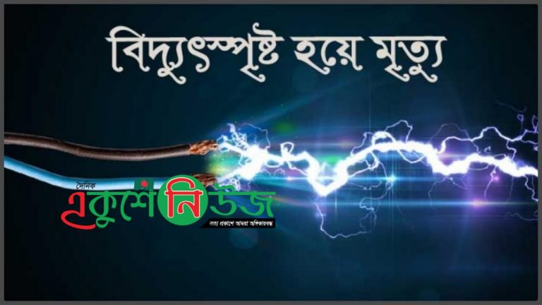 পিরোজপুরের নাজিরপুরে পিরোজপুরে বিদ্যুৎস্পৃষ্ট হয়ে কৃষকের মৃত্যু