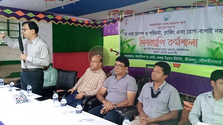 বড়লেখায় চা পরিচর্যা প্লাকিং ও রোগ বালাই দমন কর্মশালা অনুষ্টিত