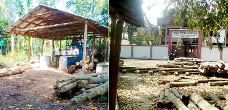 লালমনিরহাটে লাইসেন্স বিহীন করাত কলে সয়লাব!দেখছেন না কেউ