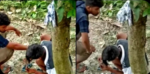 পটুয়াখালীর দুমকীতে স্কুল শিক্ষার্থী ও কলেজ শিক্ষার্থীর মাদক সেবনের ভিডিও ভাইরাল।