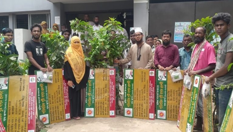 দিনাজপুরের ঘোড়াঘাটে কৃষকদের মাঝে চারা বিতারন