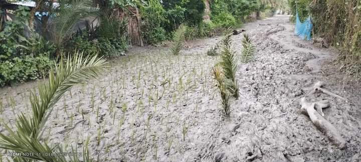সাতক্ষীরায় রাস্তায় ধান লাগিয়ে এলাকাবাসীর প্রতিবাদ