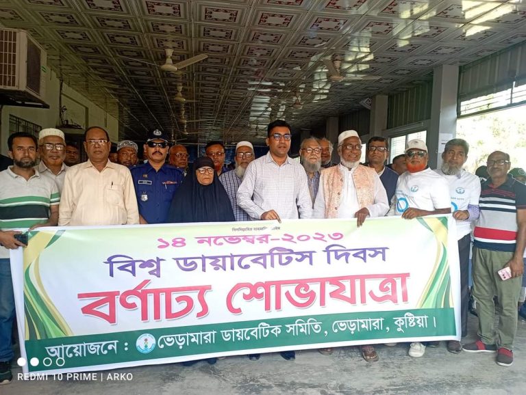 কুষ্টিয়া ভেড়ামারায় বিশ্ব ডায়াবেটিস দিবস পালিত