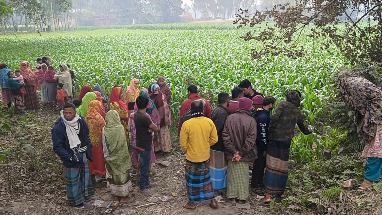 লালমনিরহাটের হাতিবান্ধায় ভুট্টাক্ষেত থেকে নবজাতকের মরদেহ উদ্ধার