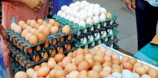 দোহারে ডিমের দাম উর্ধমুখী, প্যালেট ৩৩০ টাকা