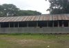 তালতলীতে ক্লাস ছেড়ে আড্ডাবাজি ও টাকা আত্মসাৎ, প্রধান শিক্ষককে শোকজ