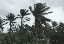 চার সমুদ্রবন্দরে ৩ নম্বর সংকেত