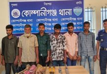নোয়াখালী কোম্পানীগঞ্জে ডাকাতির প্রস্তুতিকালে ৬ জন আটক