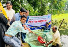 নরসিংদীর রায়পুরায় উন্মুক্ত জলাশয়ে পোনা মাছ অবমুক্ত