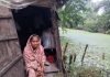 মুক্তিযুদ্ধে স্বামী হারানো নবীরুন্নেসার ঠাঁই পুকুর পাড়ে!