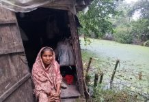 মুক্তিযুদ্ধে স্বামী হারানো নবীরুন্নেসার ঠাঁই পুকুর পাড়ে!