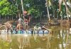 বাগেরহাটে ভূগর্ভস্থ বালু লুটের মহোৎসব, হুমকিতে-রাস্তা ও ফসলি জমি
