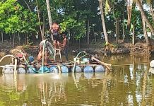 বাগেরহাটে ভূগর্ভস্থ বালু লুটের মহোৎসব, হুমকিতে-রাস্তা ও ফসলি জমি