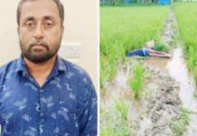 সেনবাগে ধানক্ষেতে ইঁদুর মারার বৈদ্যুতিক ফাঁদে প্রাণ গেল কৃষকের